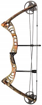 Southland Archery Supply SAS Scorpii Compound Bowfishing Bow Kit